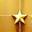 5-Star Google Rated